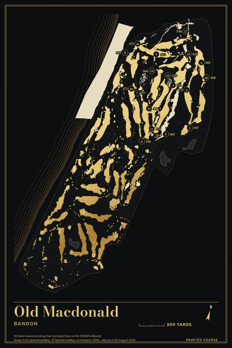 Old Macdonald, Bandon, Oregon, USA, drawn in the Gilt style from its OpenStreetMap survey: 18 holes, each numbered at its tee with its measured yards beside it.