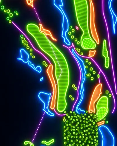 The 2nd at the Ocean Course in Neon: green fairways, blue water and orange sand drawn as glowing tubes on a night wall.